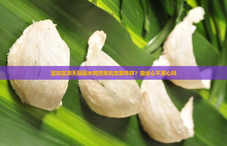 天际隔水炖燕窝机怎么样