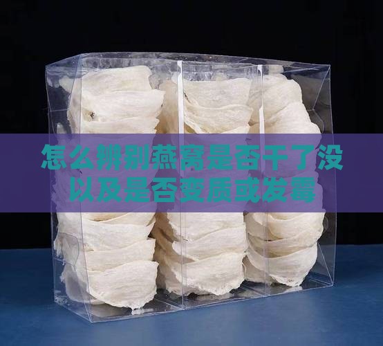 怎么辨别燕窝是否干了没