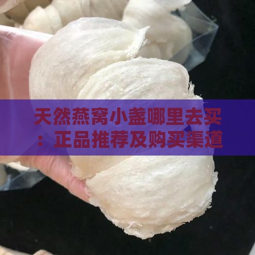 天然燕窝小盏哪里去买