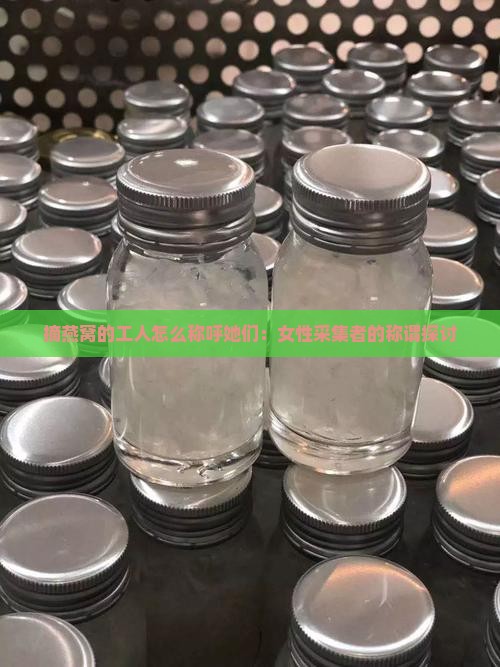 摘燕窝的工人怎么称呼她