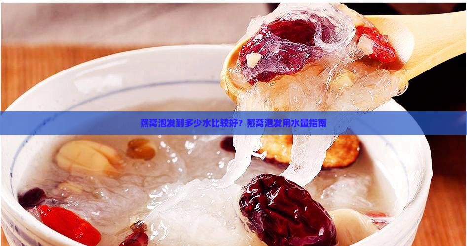 燕窝泡发到多少水比较好