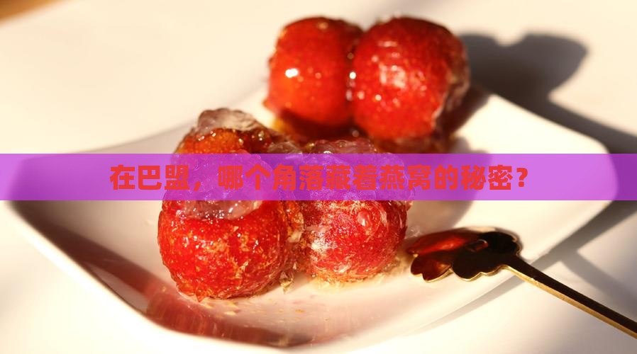 巴盟哪里有卖燕窝的店