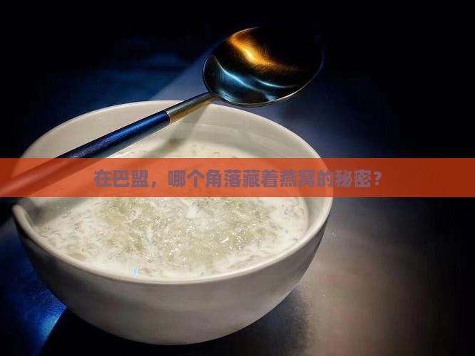 巴盟哪里有卖燕窝的店