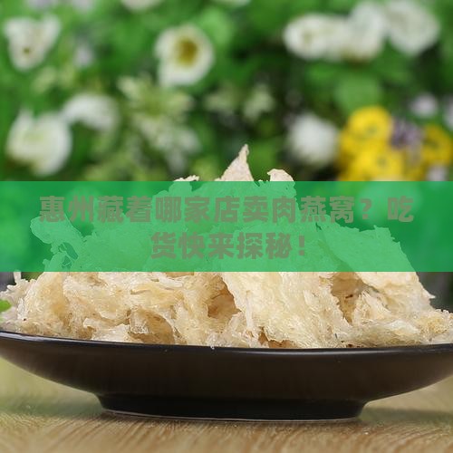 惠州哪里能买到肉燕窝