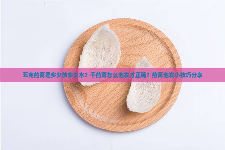 五克燕窝是多少放多少水
