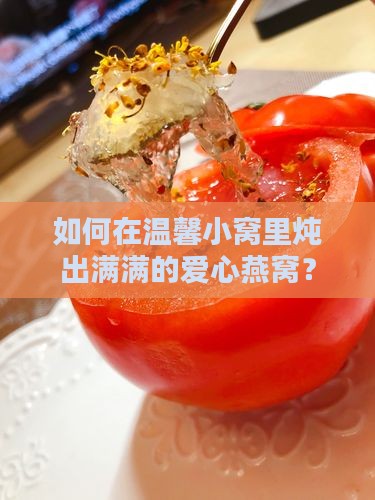 小炖燕窝用什么锅炖好呢