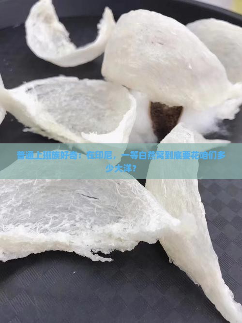 印尼一等白燕窝多少钱
