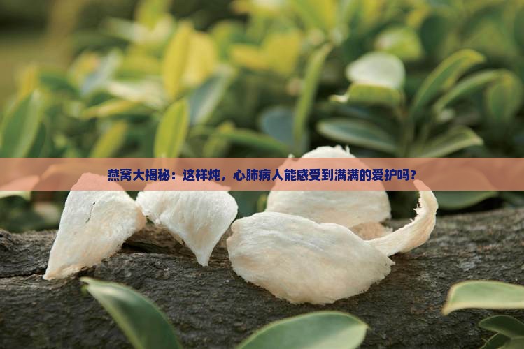 燕窝怎么做对心肺病人好