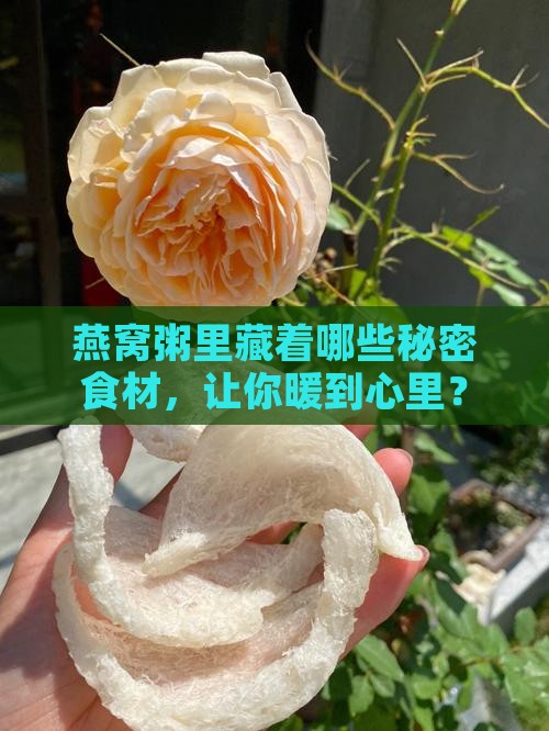 燕窝粥的配料都有什么