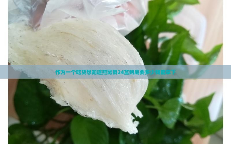 溯源燕窝粥24盒多少钱