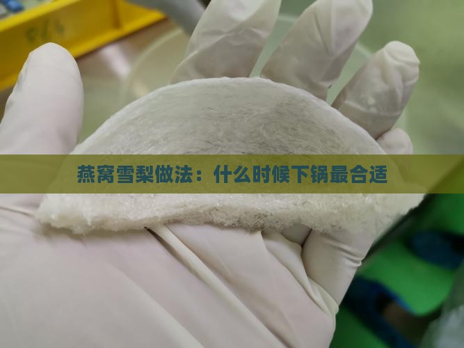 炖燕窝梨什么时候下锅