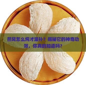 燕窝有什么炖法和功效呢