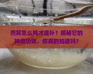 燕窝有什么炖法和功效呢
