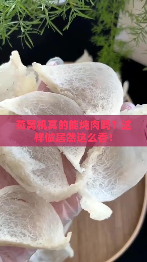 燕窝机可以炖肉吗怎么炖