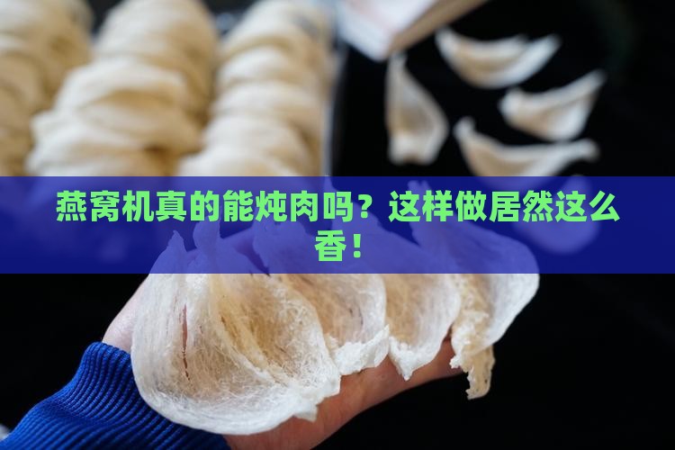 燕窝机可以炖肉吗怎么炖