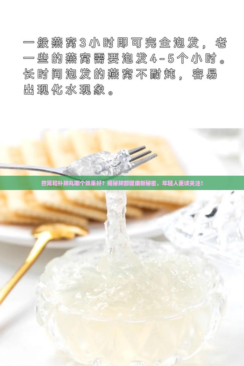 燕窝和补肺丸哪个效果好