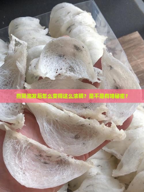 燕窝泡出来好厚怎么回事