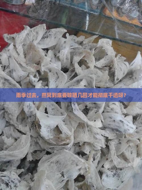 雨季燕窝多久去一次干的