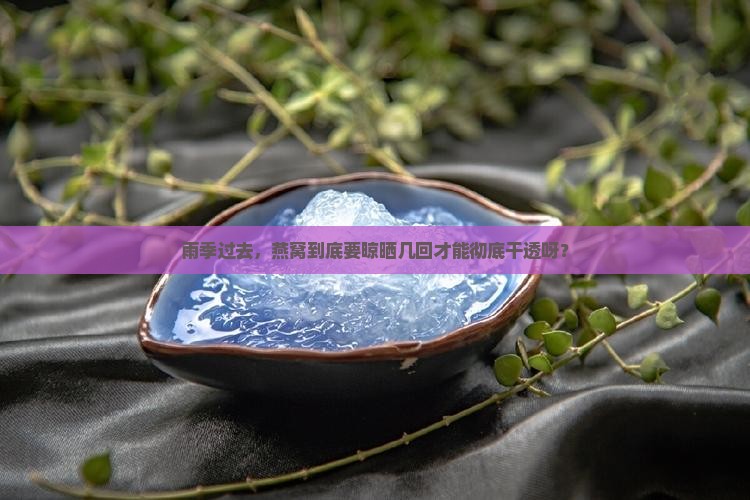 雨季燕窝多久去一次干的