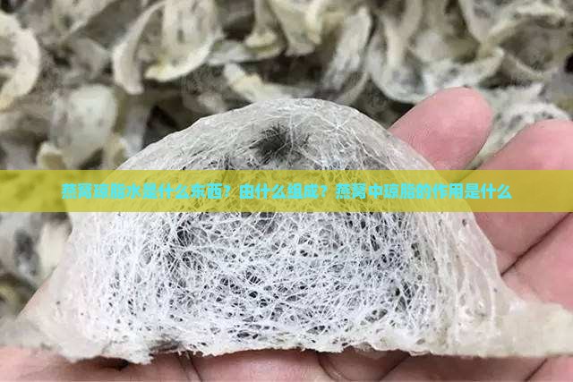 燕窝琼脂水是什么东西