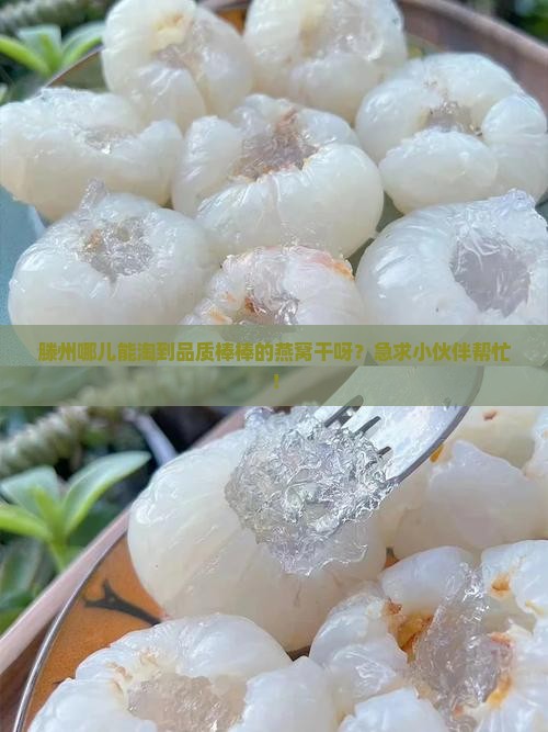 滕州哪里有卖的燕窝干的