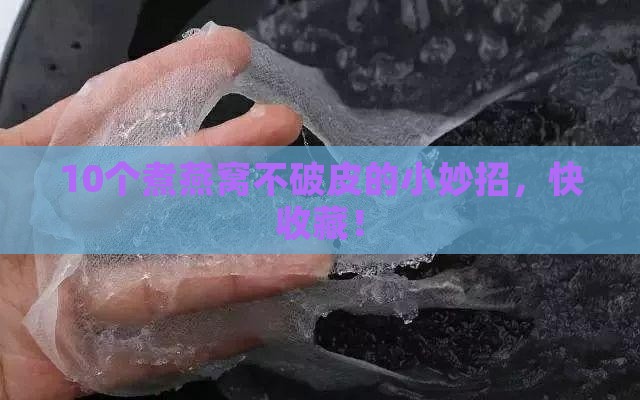 燕窝怎么煮不破皮呢呢