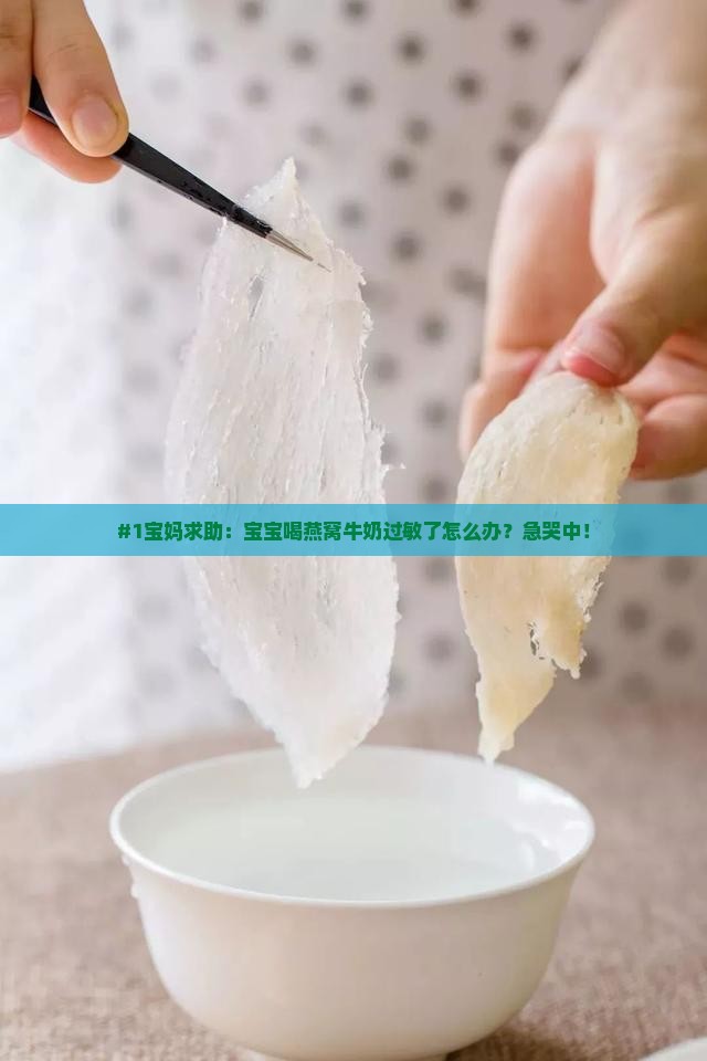 燕窝加牛奶过敏怎么办呀