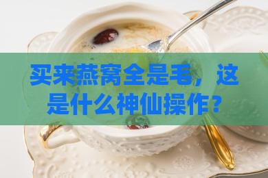 燕窝里全都是毛怎么说