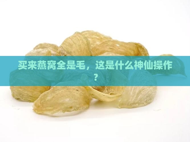 燕窝里全都是毛怎么说