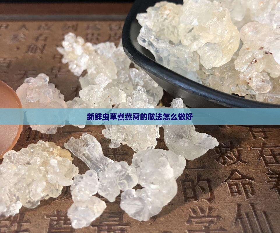 新鲜虫草煮燕窝怎么煮