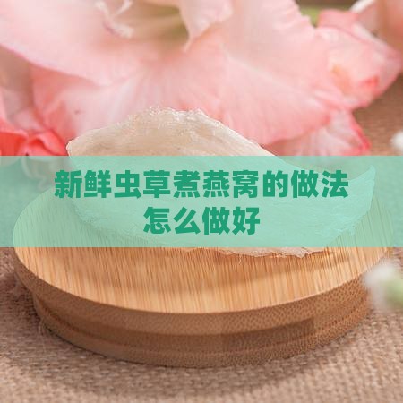 新鲜虫草煮燕窝怎么煮