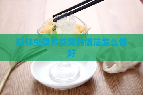 新鲜虫草煮燕窝怎么煮