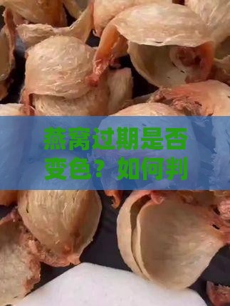 湿燕窝过期是什么颜色
