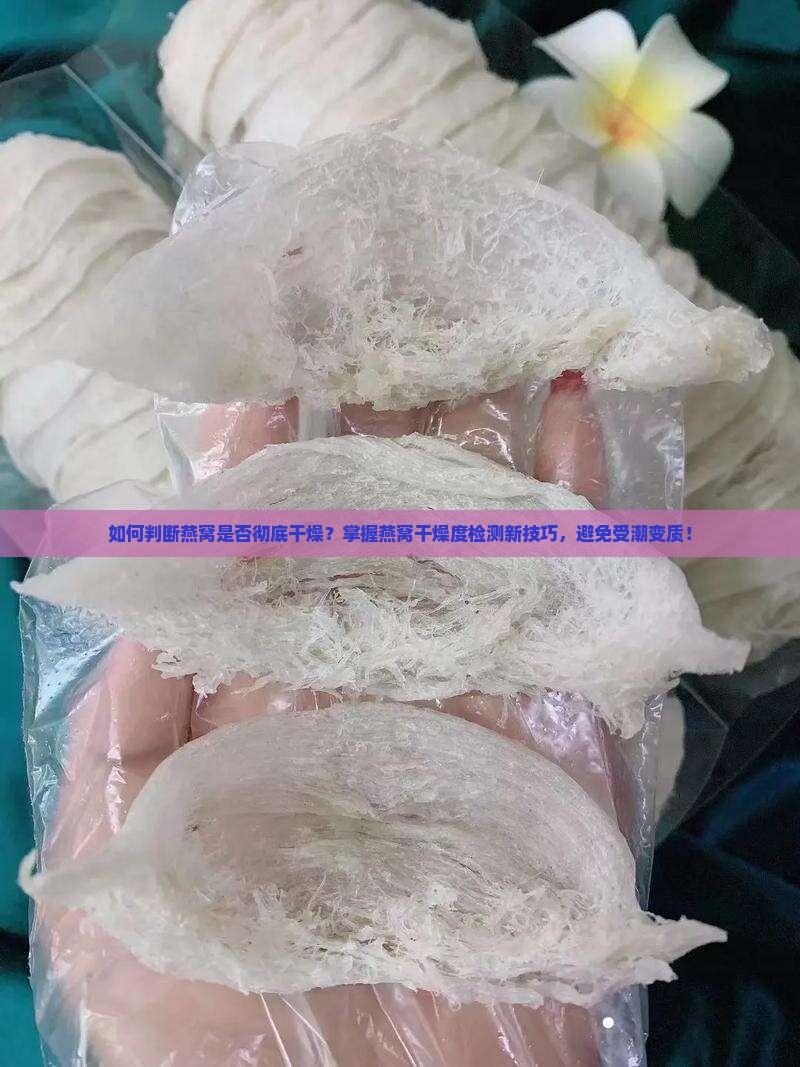 怎么看燕窝是不是是干的 怎么看燕窝是不是是干的
