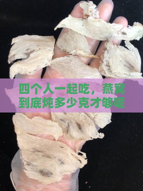 四个人炖多少克燕窝好