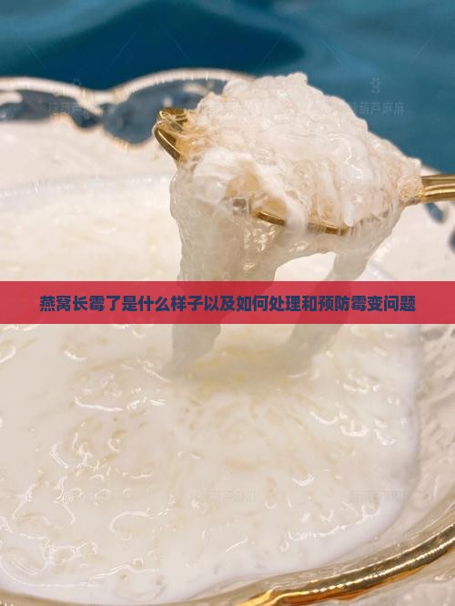 燕窝长霉了是什么样子