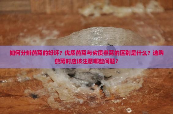 燕窝怎么分辨好坏区别