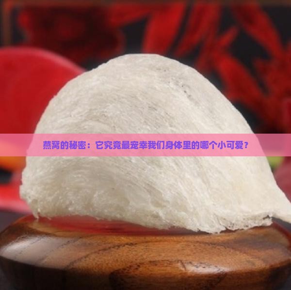 燕窝最补哪个器官最好