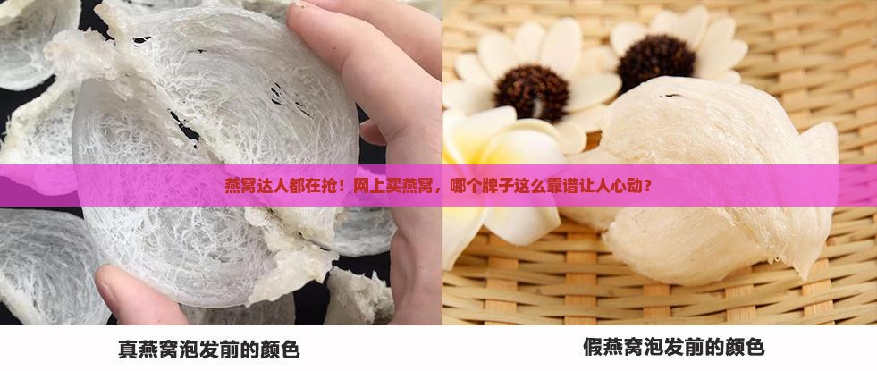 网购燕窝哪个品牌最好