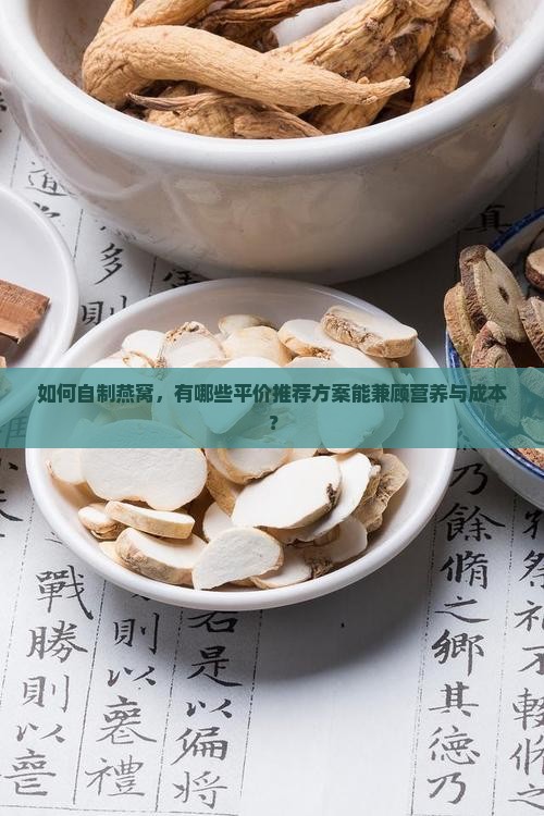 如何自制燕窝推荐平价