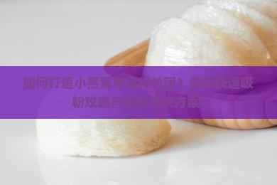 小燕窝专属粉丝怎么做的