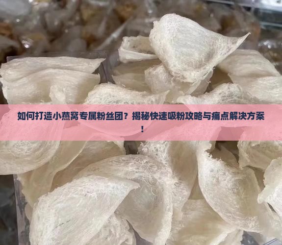 小燕窝专属粉丝怎么做的