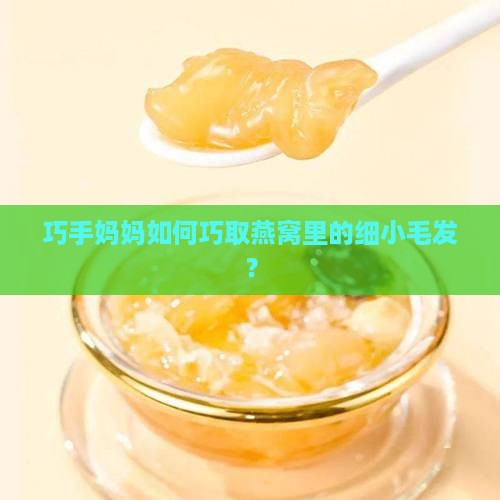 没有镊子怎么取燕窝毛发