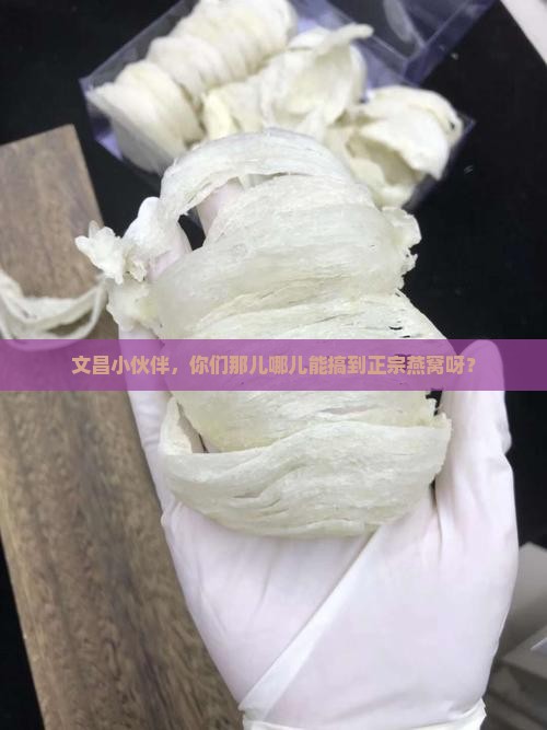 海南文昌哪里有燕窝卖