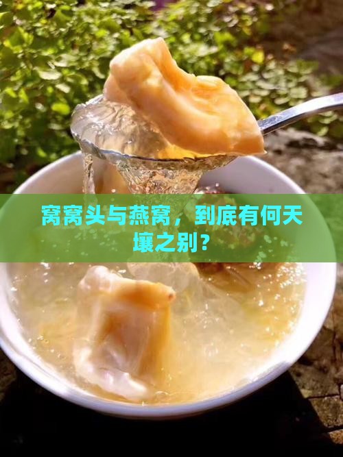 窝窝头和燕窝有什么区别