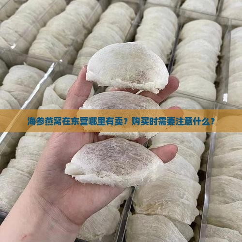 海参燕窝东营哪里有卖