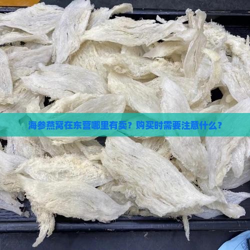 海参燕窝东营哪里有卖