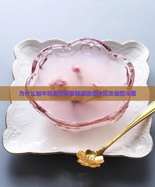 为什么加牛奶后燕窝变硬