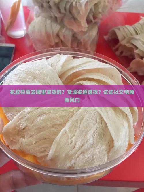 花胶燕窝去哪里拿货的