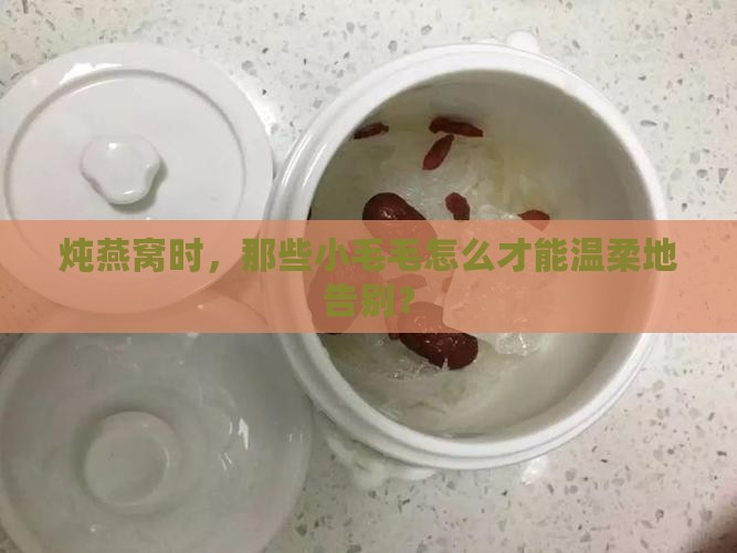 炖燕窝里的小毛怎么去除